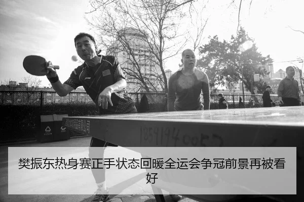 樊振东热身赛正手状态回暖全运会争冠前景再被看好